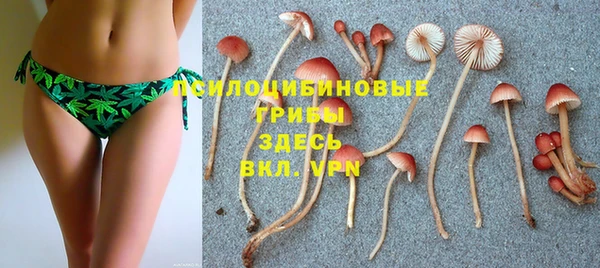 мескалин Абинск