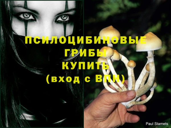 мескалин Абинск