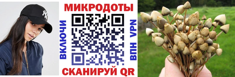 Галлюциногенные грибы мицелий  OMG онион  Богородск 